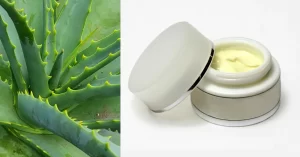 Aloe Vera - Naturlig lösning på alla dina hudproblem
